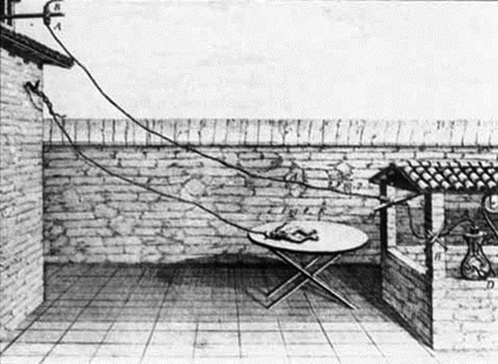 FIGURE 111.3, A diagram of Galvani’s experiment on frog legs in the late 1780s.
