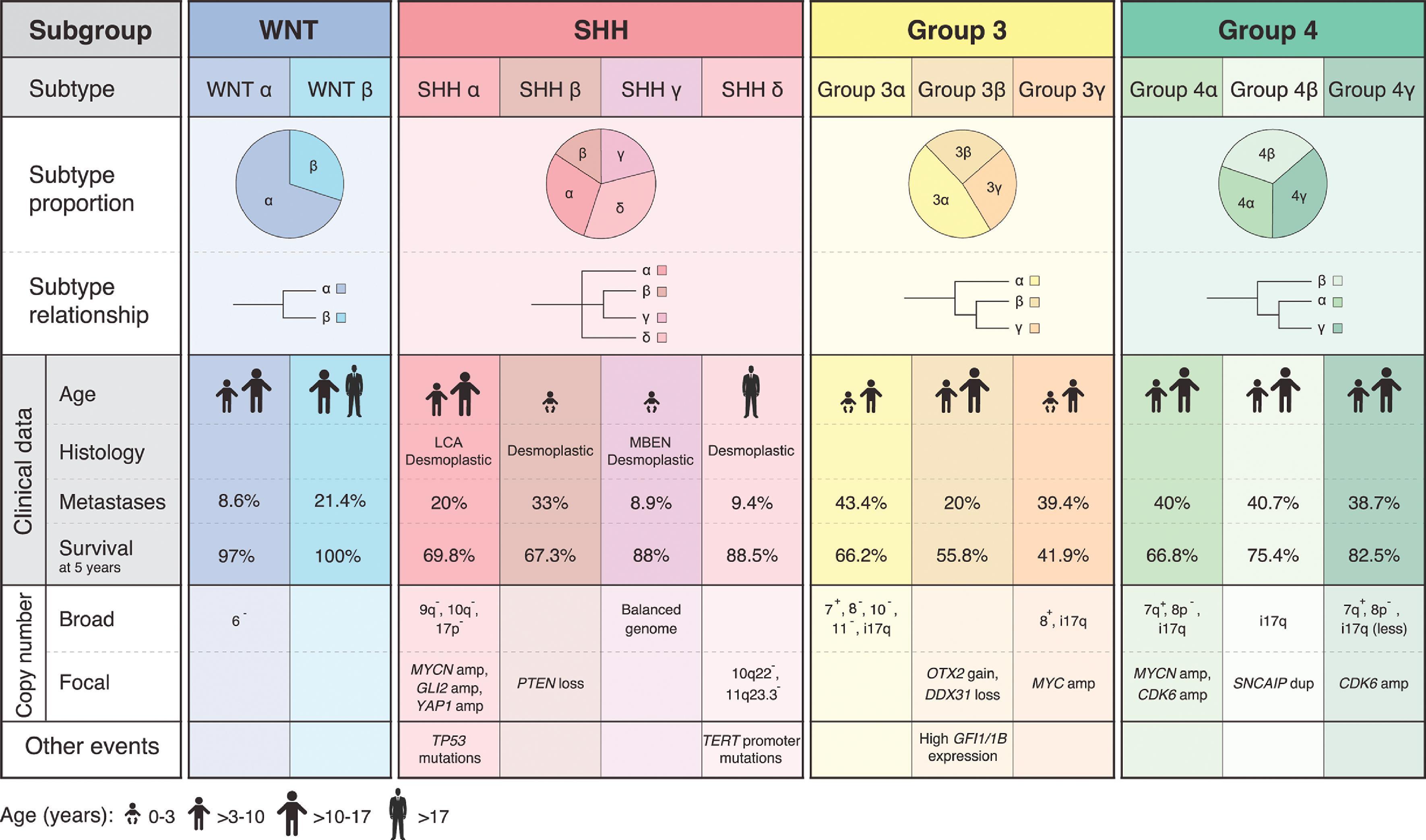 Schematic representation of key clinical data, copy-number events, and relationship between the subtypes inside each of the four medulloblastoma subgroups. The percentages of patients presenting with metastases and the 5-year survival percentages are presented. The age groups are: infant 0–3 years, child >3–10 years, adolescent >10–17 years, and adult >17 years. (From Cavalli F, Remke M, Rampasek L, et al. Intertumoral heterogeneity within medulloblastoma subgroups. Cancer Cell . 2017;31:737–754.e6. https://doi.org/10.1016/j.ccell.2017.05.005)