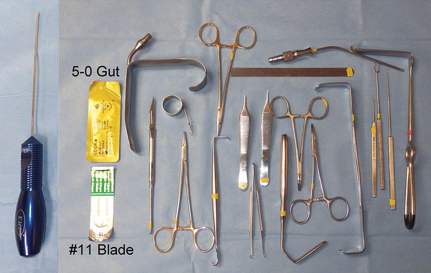 Fig. 4.30, Instrumentation for the transfollicular browlift is minimal and similar to facelift armamentarium.
