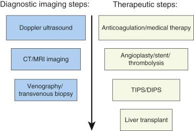 Fig. 44-1, Sequential steps in diagnostic imaging and therapy of Budd-Chiari syndrome.