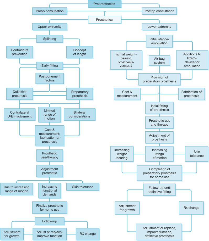 Fig. 47.20, Algorithm showing the process of prosthetic evaluation and fitting.