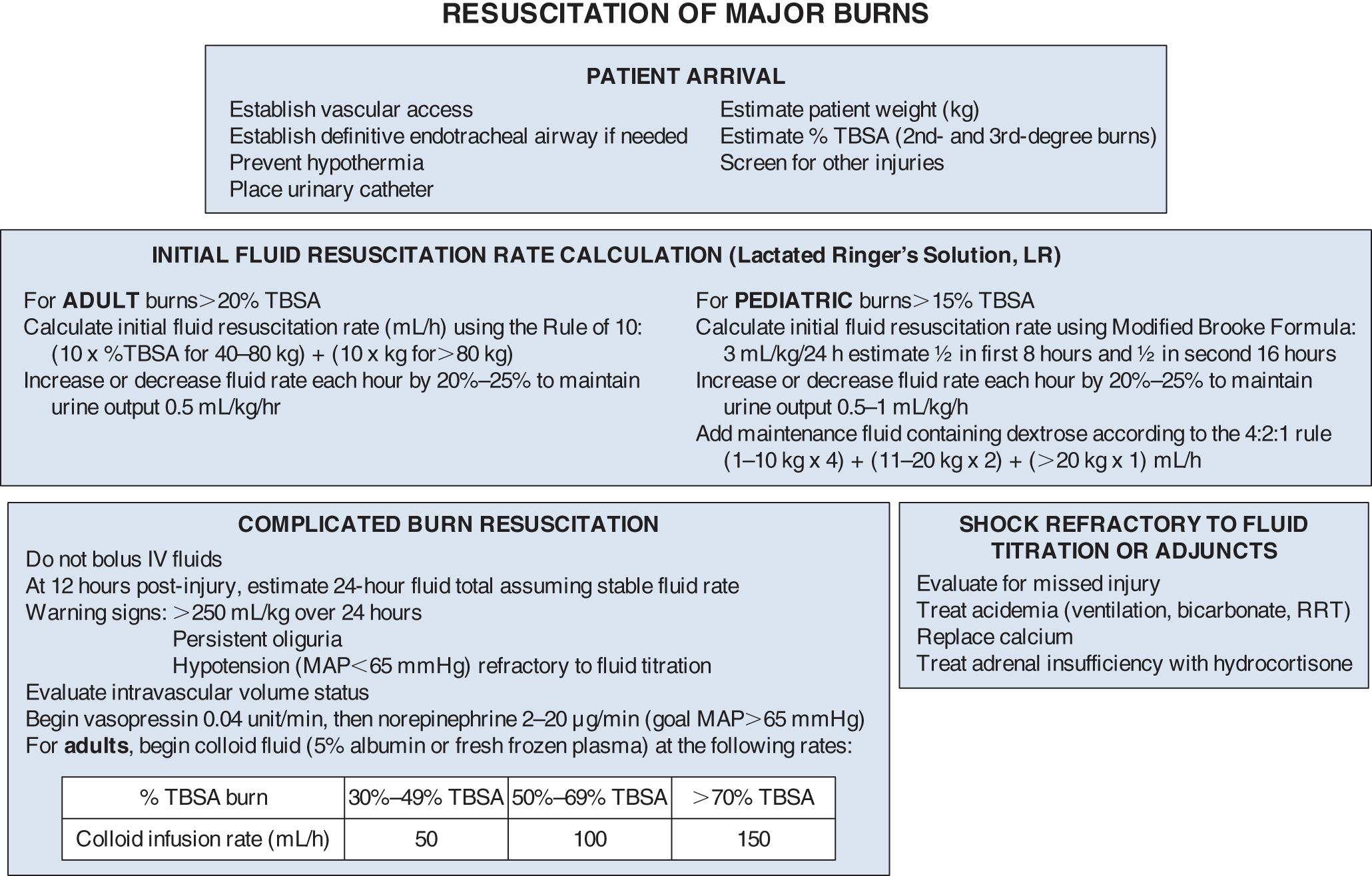 Fig. 155.3, Burn resuscitation algorithm.