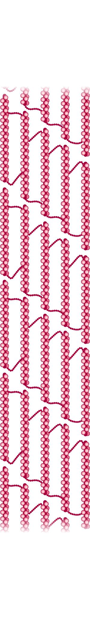 Fig. 33.2, The structure of a collagen fiber.