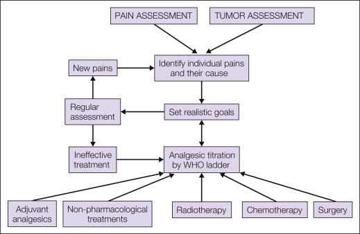 Figure 75-1, Overview of the management of cancer pain.