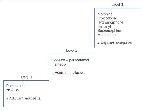 Figure 75-2, The analgesic ladder.