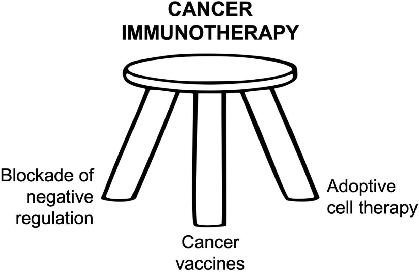 Fig. 14.1, Three legs of cancer immunotherapy.