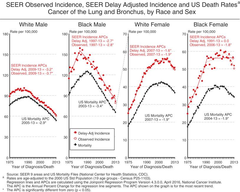 Figure 69.1, Lung and bronchus cancer incidence rates by race/ethnicity and sex, United States, 1975–2013. SEER, Surveillance, Epidemiology, and End Results Program.