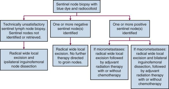 Fig. 69.3, Treatment algorithm. Limited, unifocal vulvar cancer less than 4 cm without encroachment on the clitoris, vagina, urethra, or anus. The groin is clinically uninvolved. Micrometastases are defined as 0.2 to 2 mm, while macrometastases are greater than 2 mm.