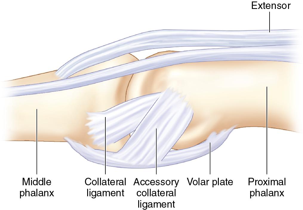 FIGURE 103.2