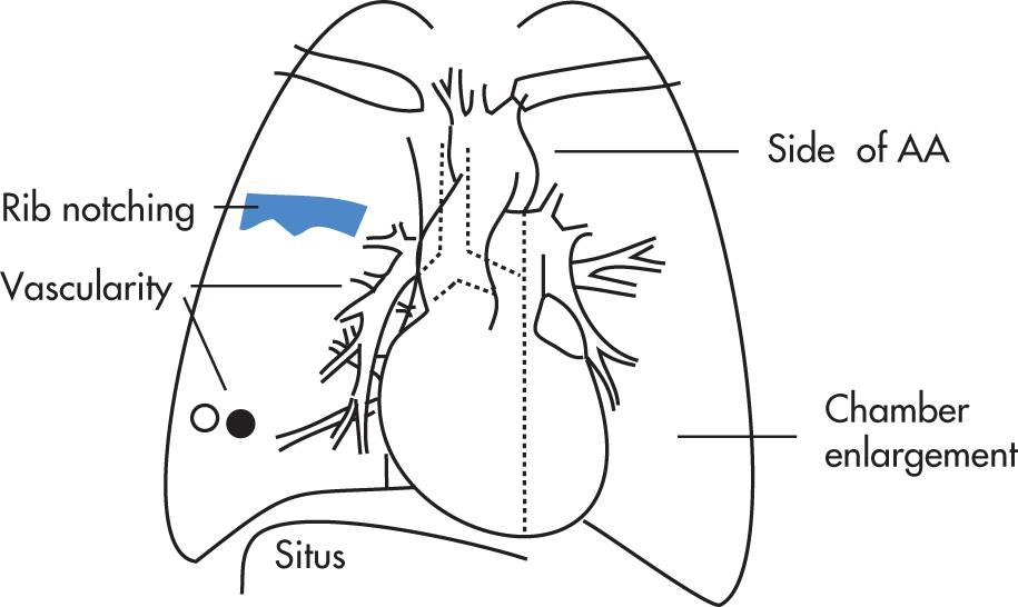 FIG. 2.19