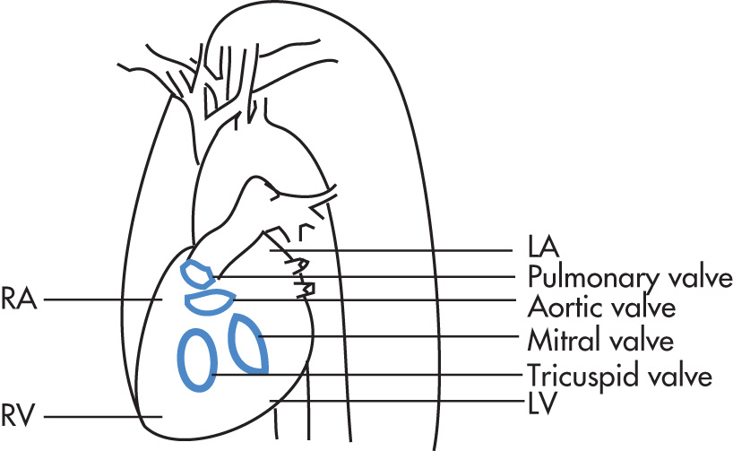 FIG. 2.2