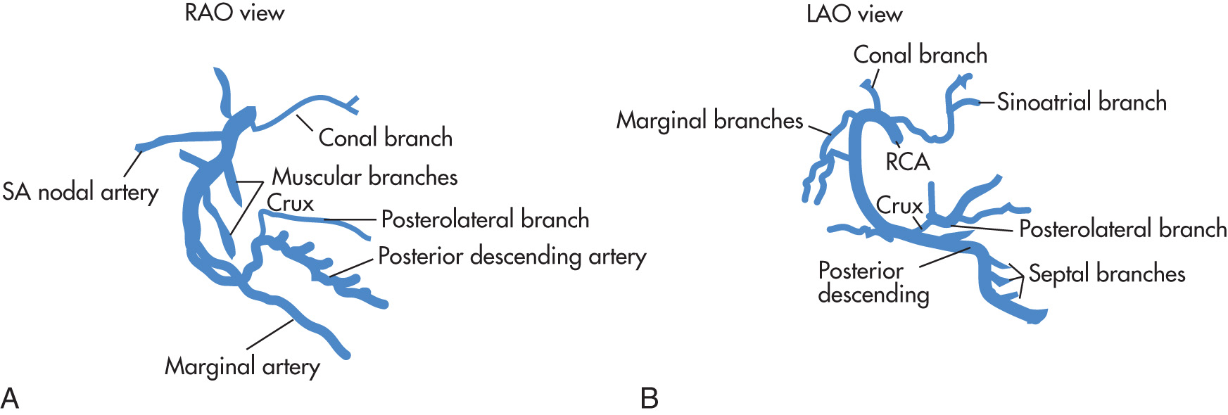 FIG. 2.9