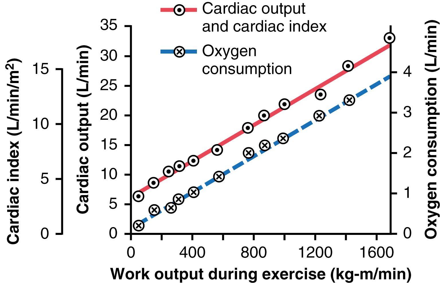 Figure 20-3., Effect of increasing levels of exercise to increase cardiac output ( red solid line ) and oxygen consumption ( blue dashed line ).