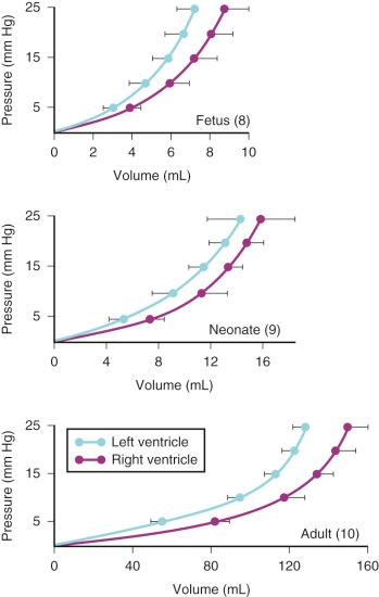 FIGURE 18.3, Comparison of ventricular pressure–volume curves for fetal, neonatal, and adult sheep. Differences between ventricles are significant only in adult sheep. Notice that the right and left ventricles have similar compliance curves in the neonates, making the physiologic relationship between ventricles more intimate (i.e., infants tend to develop biventricular failure).