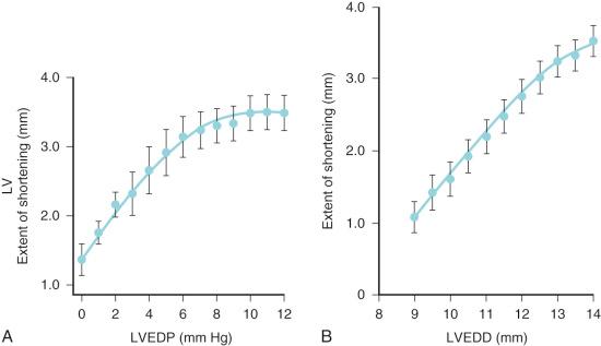 FIGURE 18.4, Frank-Starling relationship in fetal lamb model (gestational age, 135 ± 5 days). A, The relationship between left ventricular end-diastolic pressure (LVEDP) and shortening in a chronically instrumented fetal lamb model. Although myocardial performance improves with increasing LVEDP, the effect achieves a plateau at 10 mm Hg. B, In the same model, the relationship between left ventricular end-diastolic diameter (LVEDD) and left ventricular shortening. Taken together, these experiments support the capacity, albeit blunted, of the fetal heart to change stroke volume on the basis of volume loading conditions. Each point and vertical bars represent mean ± standard error.