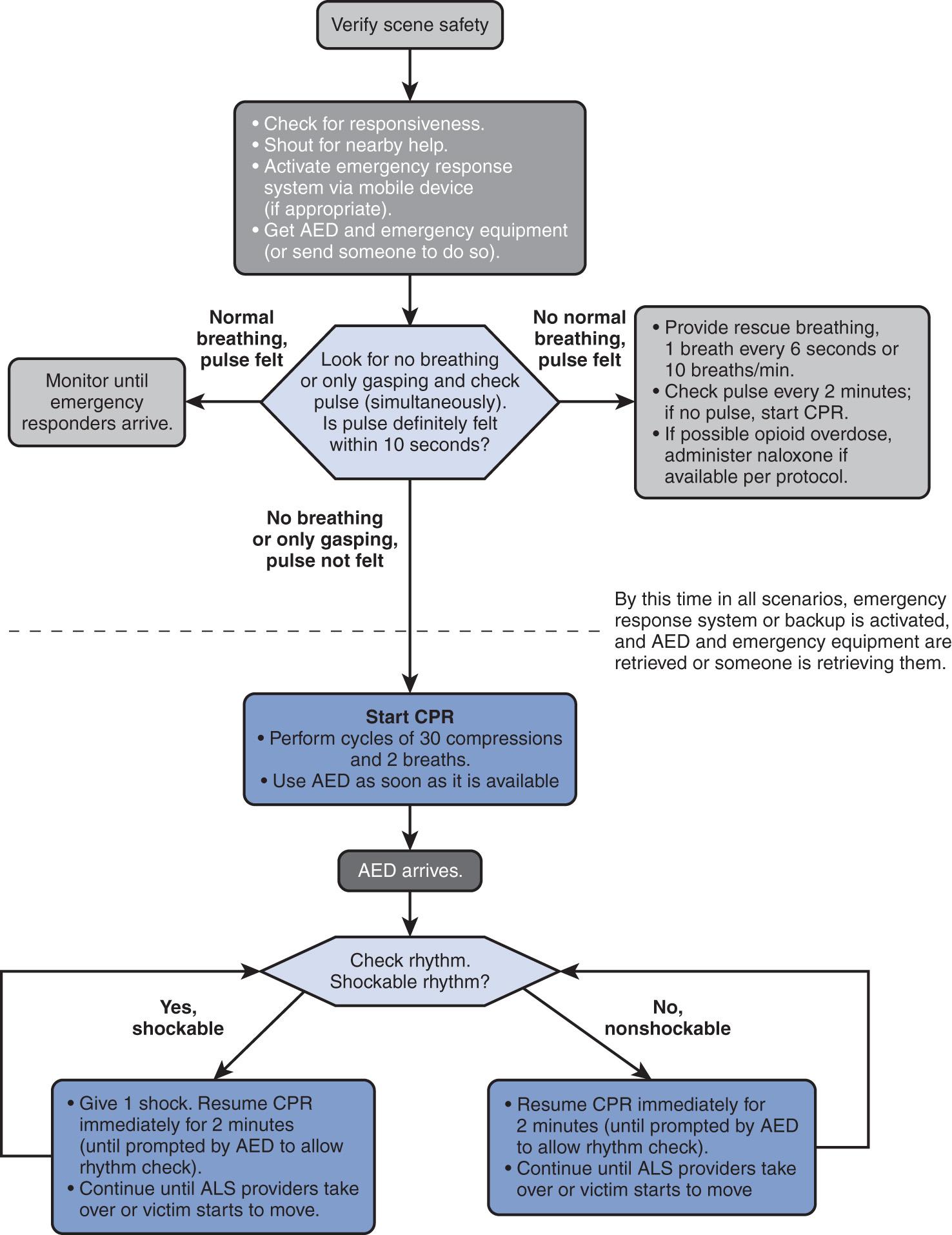 Fig. 40.1, Adult basic life support algorithm for healthcare providers. AED, Automated external defibrillator; ALS, advances life support; CPR, cardiopulmonary resuscitation.