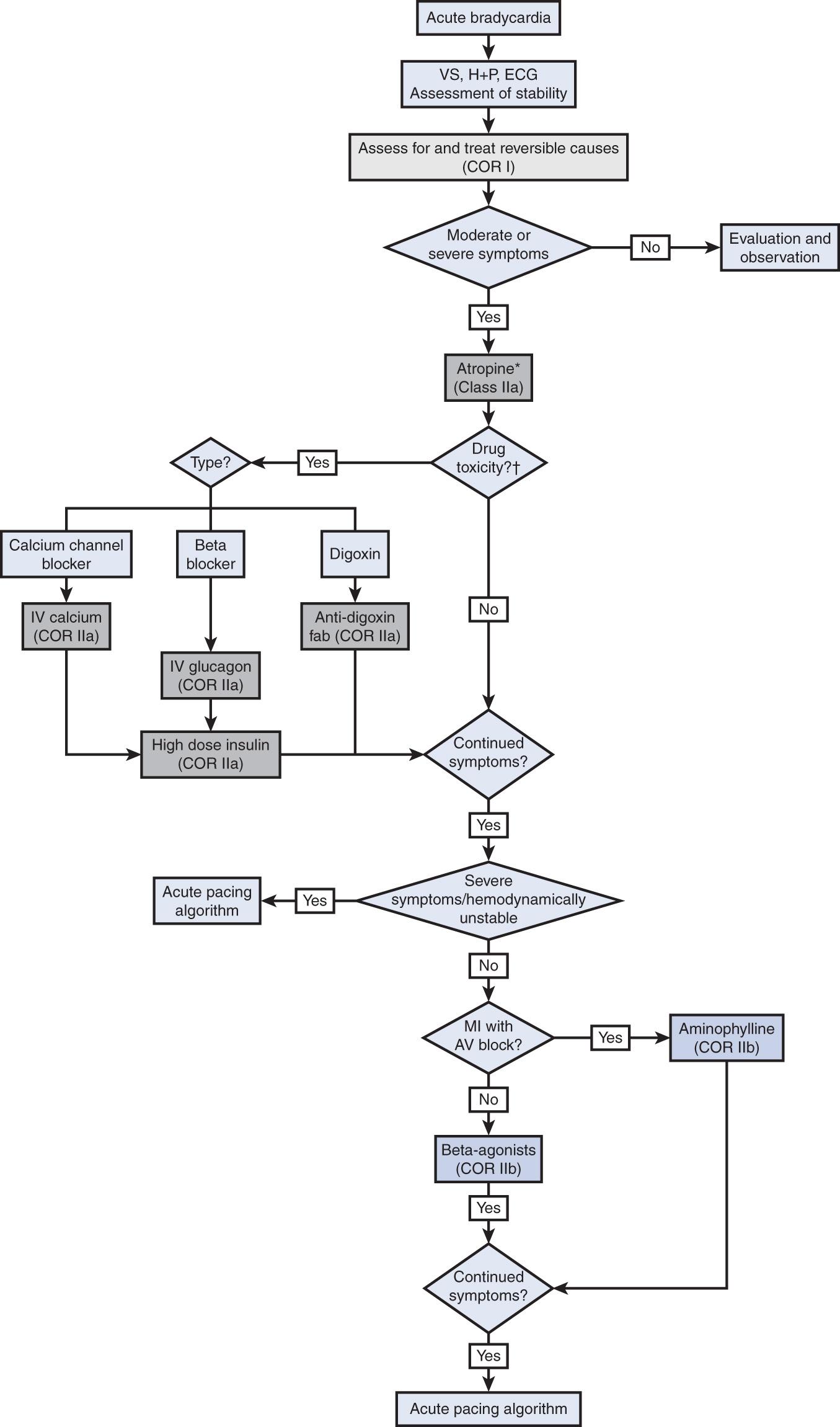 Fig. 38.2, Algorithm for acute treatment of symptomatic bradycardia. † In patients with drug toxicity and severe symptoms, preparation for pacing should proceed simultaneously with pharmacologic treatment of drug toxicity. *Atropine should not be given in patients after heart transplant. AAD, Antiarrhythmic drugs; AV, atrioventricular; BB, beta blocker; CCB, calcium channel blocker; COR, Class of Recommendation; ECG, electrocardiographic; H+P, history and physical examination; IMI, inferior myocardial infarction; IV, intravenous; PM, pacemaker; S/P, status post; VS, vital signs.