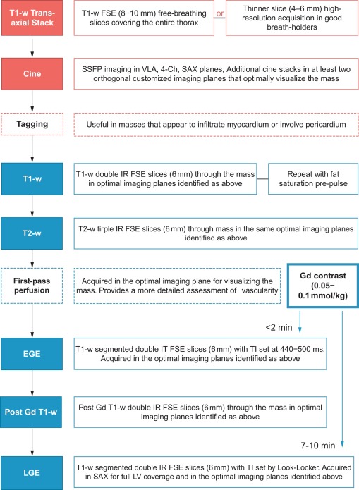 Figure 17.3, Core Protocol for CMR Imaging of Cardiac Masses. Sequences in red are used for ‘localisation’ of the mass. Sequences in blue are used for ‘tissue characterisation’. Tagging and first-pass perfusion sequences are optional sequences that can supplement the core dataset. The second bolus of gadolinium (Gd) contrast is given with the first-pass perfusion sequence if performed – or alternatively as a ‘top-up dose’ prior to EGE imaging. T1-w = T1-weighted imaging; FSE = fast spin echo; SSFP = steady-state free precession; VLA = vertical long axis; 4-Ch = 4-Chamber; SAX = short-axis; IR = inversion recovery; SPIR = selective partial inversion recovery; T2-w = T2-weighted imaging; EGE = early-gadolinium enhancement; LGE = late-gadolinium enhancement.