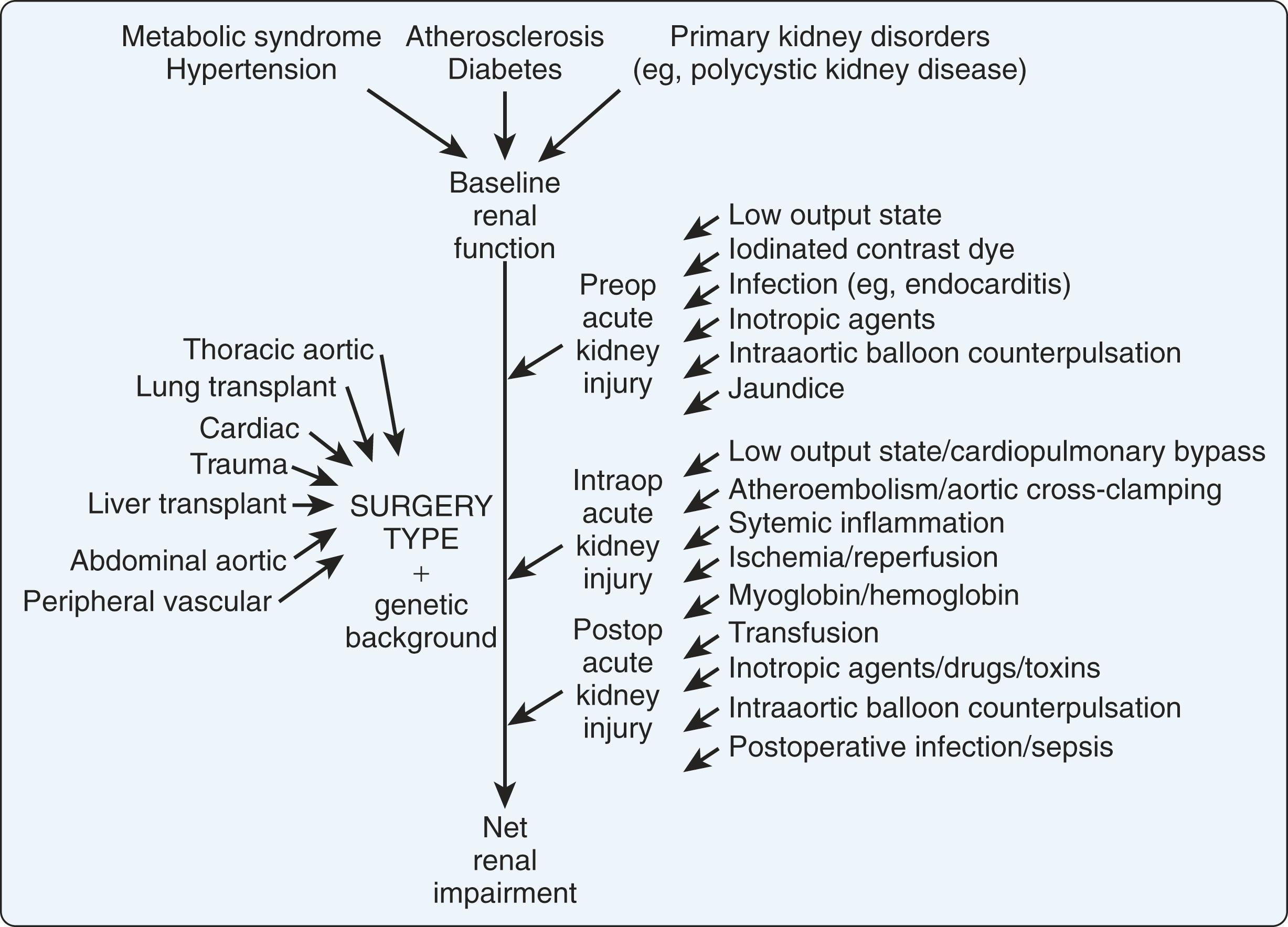 Figure 25.2, Numerous sources of kidney insult play a variably important role for each patient during the perioperative period.