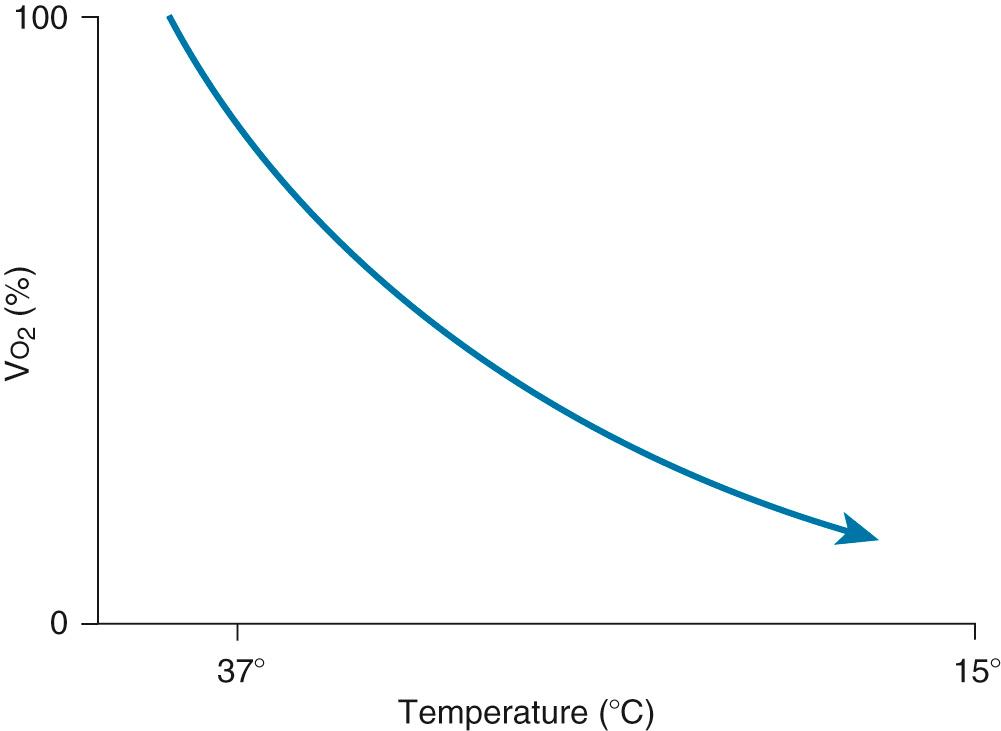 FIGURE 63-4, The effect of hypothermia on oxygen consumption (V o 2 ).