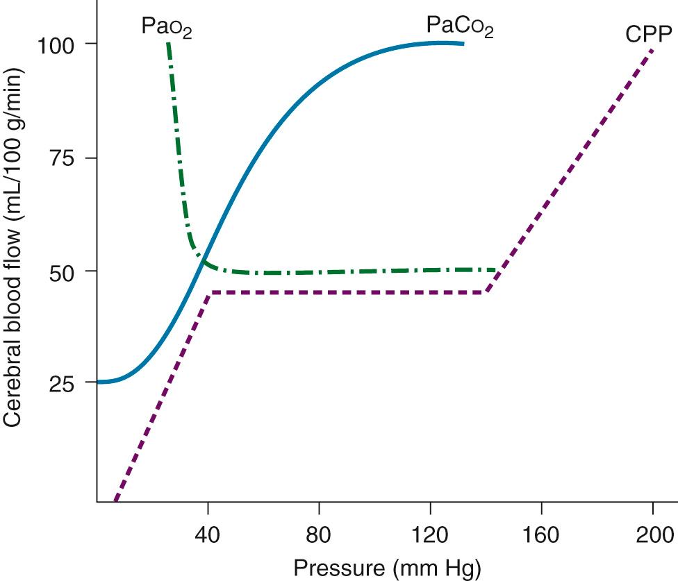 FIGURE 63-6, Through autoregulation, cerebral blood flow (CBF) is constant from cerebral perfusion pressure (CPP) 40 to 140 mm Hg. Other factors that independently affect CBF include Pa co 2 and Pa o 2 .