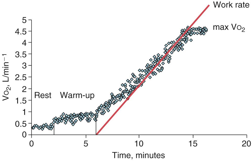 Fig. 23.3, Relationship between consumption of oxygen (V O 2 ) and rate of work during progressive exercise in a healthy and well-conditioned adolescent. Note that with the onset of exercise there is an essentially linear relationship between these two features until near the peak of exercise when V O 2 plateaus despite the continued rise in rate of work.