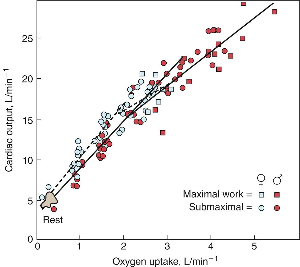 Fig. 23.6, Relationship of cardiac output to consumption of oxygen measured in 23 subjects during sitting cycle ergometry. These data are from the same subjects shown in Fig. 23.3 .