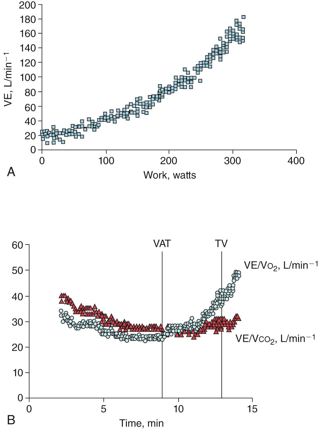 Fig. 23.7, (A) Relationship of minute ventilation (VE) to rate of work in the same subject as shown in Fig. 23.3 . Note there is a steady rise in minute ventilation as rate of work increases. (B) The ventilatory equivalents of oxygen (VE/V O 2 ) and carbon dioxide (VE/V CO 2 ) for the same subject. The onset of the ventilatory anaerobic threshold (VAT) and terminal hyperventilation (TV) are marked (see text for discussion).