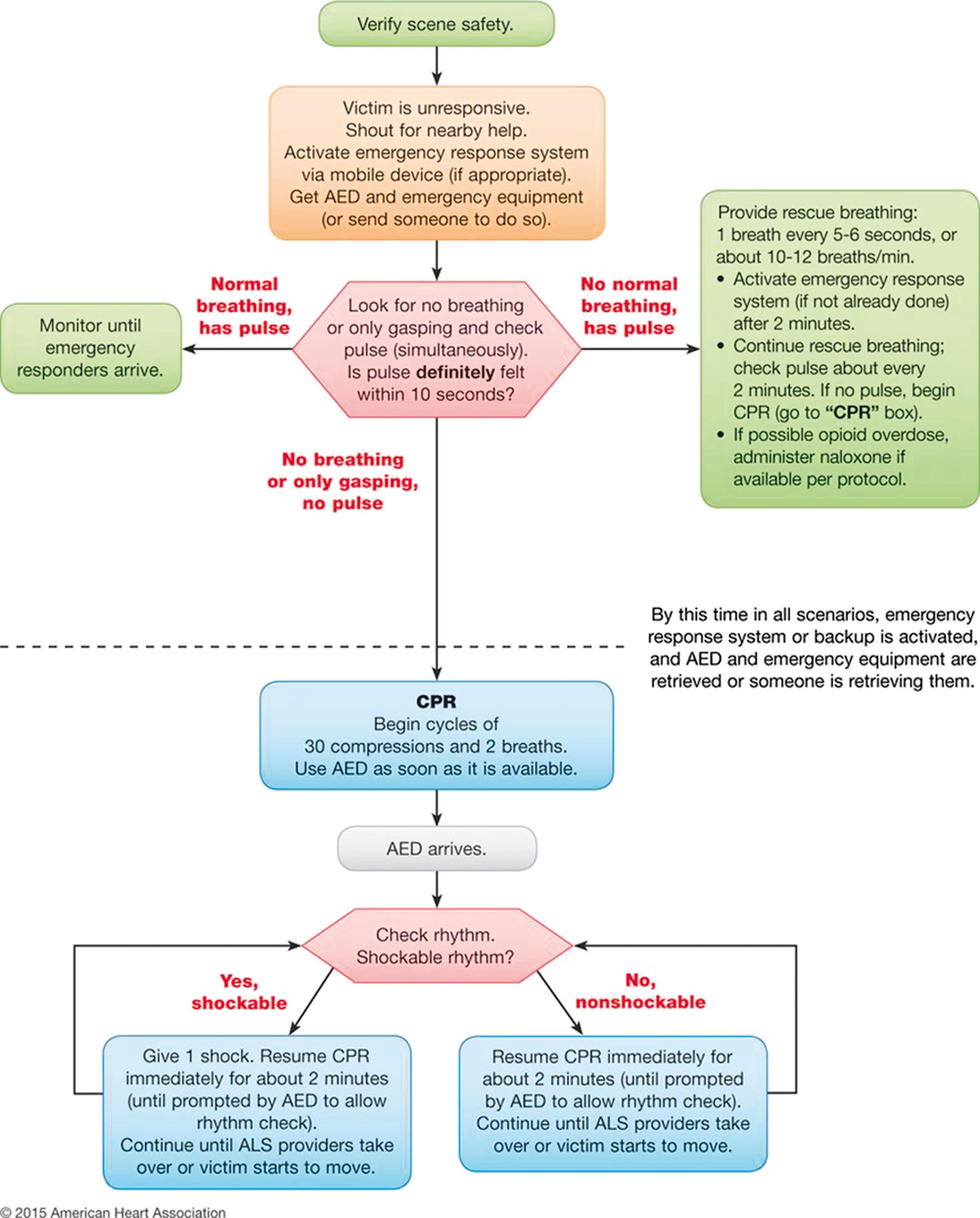 Fig. 86.1, Basic Life Support Healthcare Provider Adult Cardiac Arrest Algorithm—2015 Update. AED , Automated external defibrillator; CPR , cardiopulmonary resuscitation.