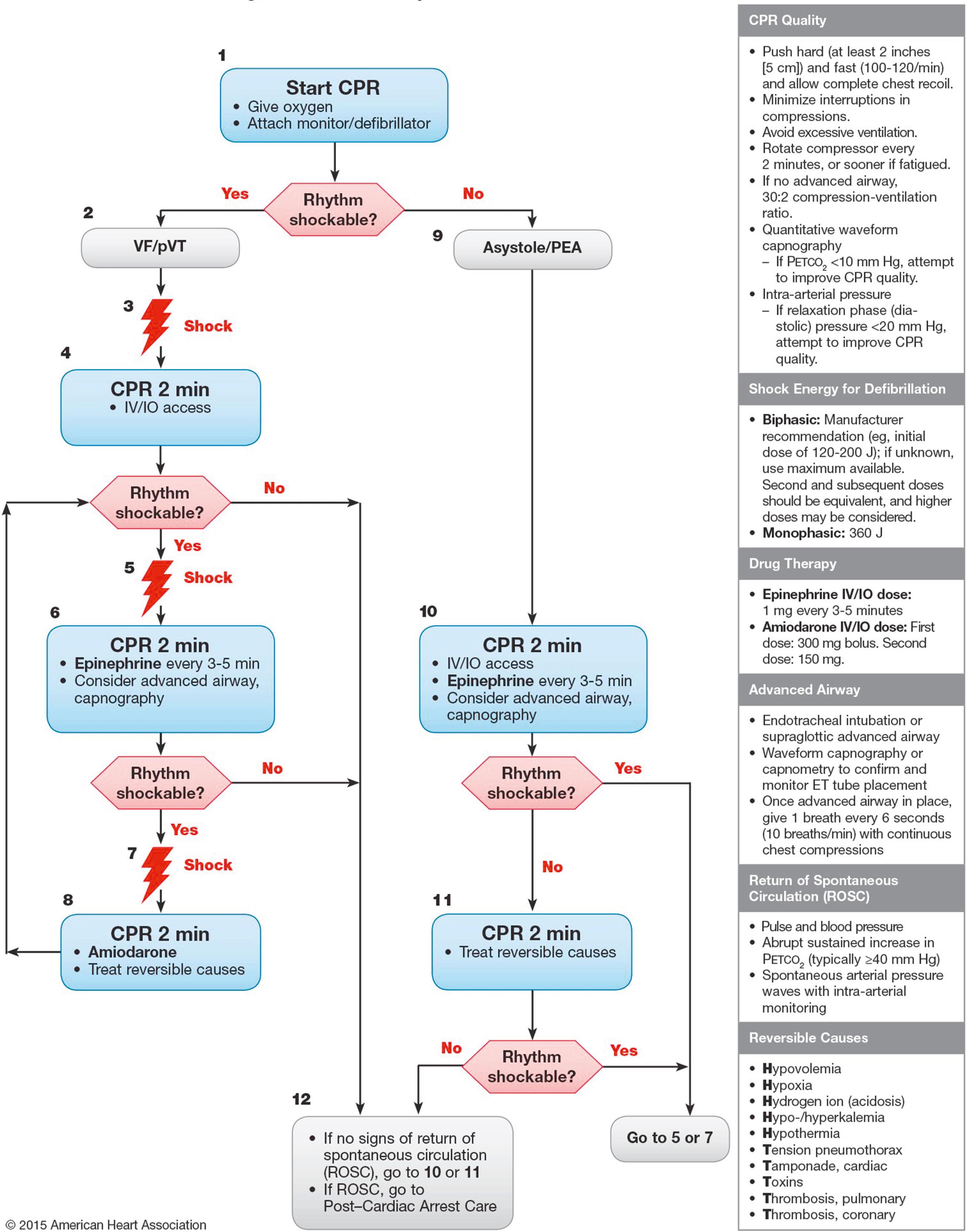 Fig. 86.2, 2015 American Heart Association adult advanced cardiovascular life support algorithm. CPR , Cardiopulmonary resuscitation; IO , intraosseous; IV , intravenous; PEA , pulseless electric activity; VF , ventricular fibrillation; VT , ventricular tachycardia.