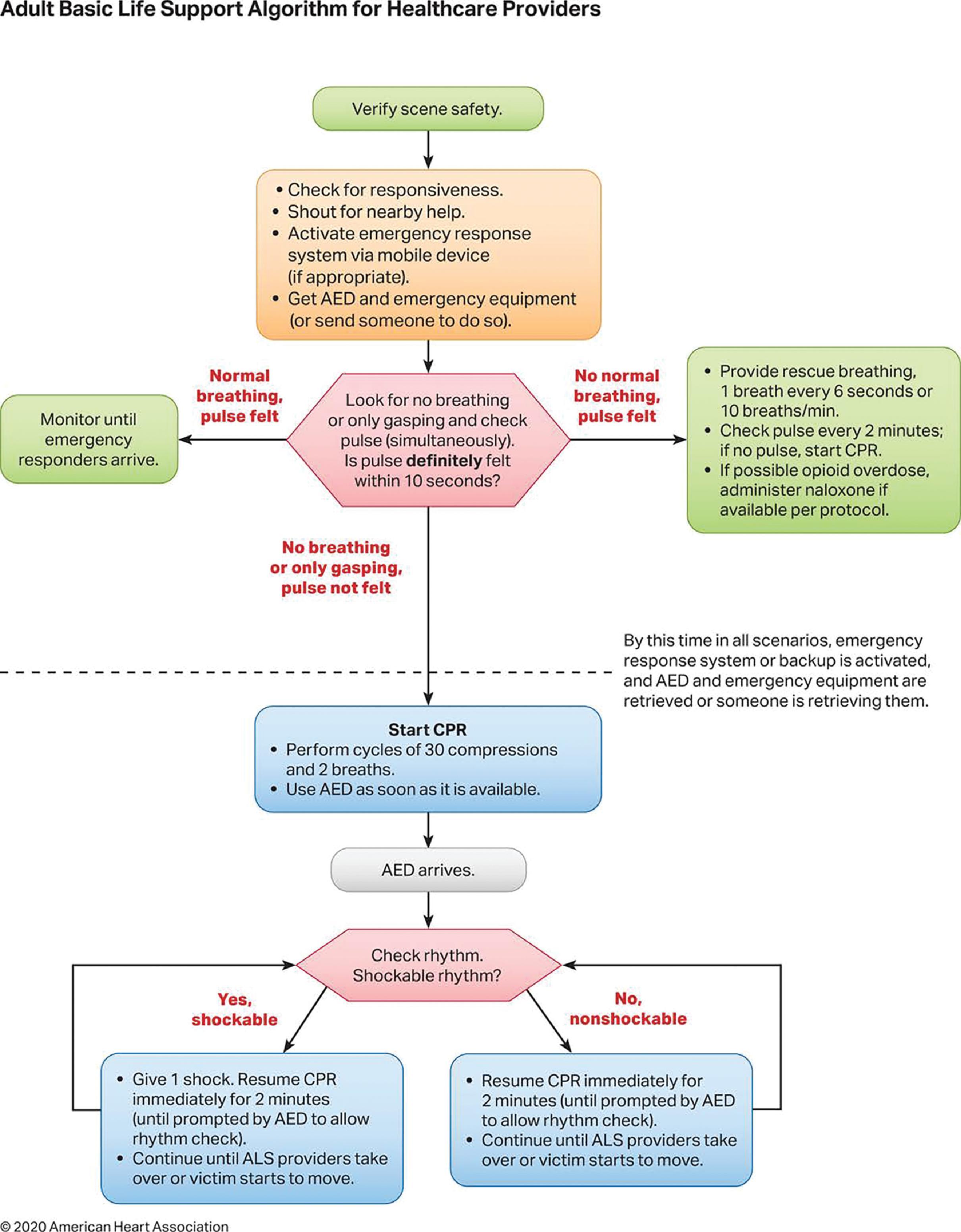 Fig. 32.2, The Adult Basic Life Support Algorithm for Healthcare Providers—2020 Update. AED, Automatic external defibrillator; ALS, advanced life support; CPR, cardiopulmonary resuscitation.