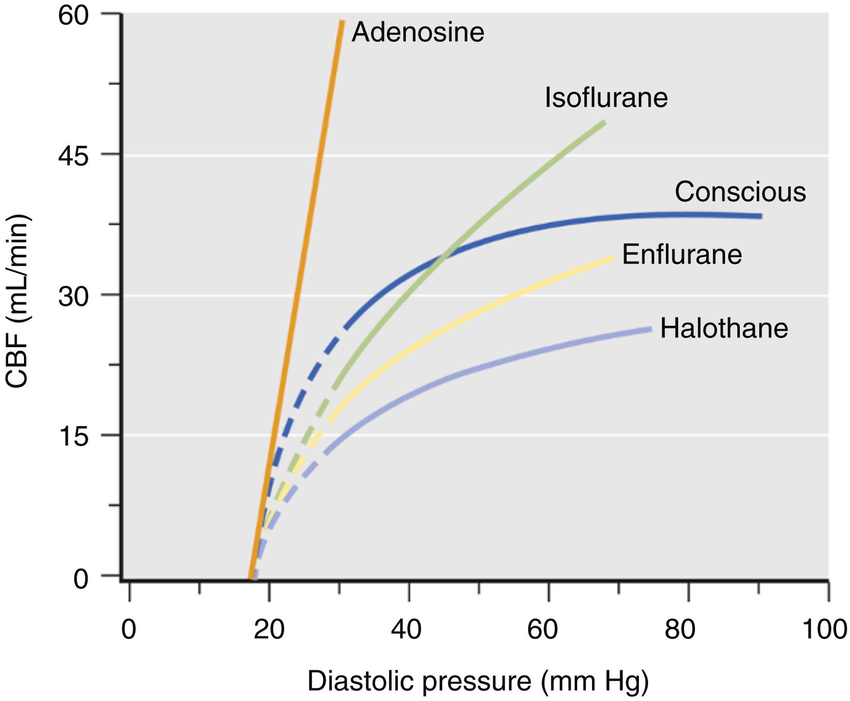 Figure 7.14, A qualitative description of the effects of volatile anesthetics on the coronary blood flow (CBF)–diastolic pressure relationship demonstrating the effect of adenosine-induced maximal coronary vasodilation in conscious and anesthetized dogs. Solid lines are drawn from mean slopes determined by linear regression analysis. Dashed lines represent the nonlinear portion of the curve and are estimates. In contrast to the findings obtained in conscious dogs, the anesthetics affect absolute CBF variably but do not increase the slope of the CBF-pressure plots.