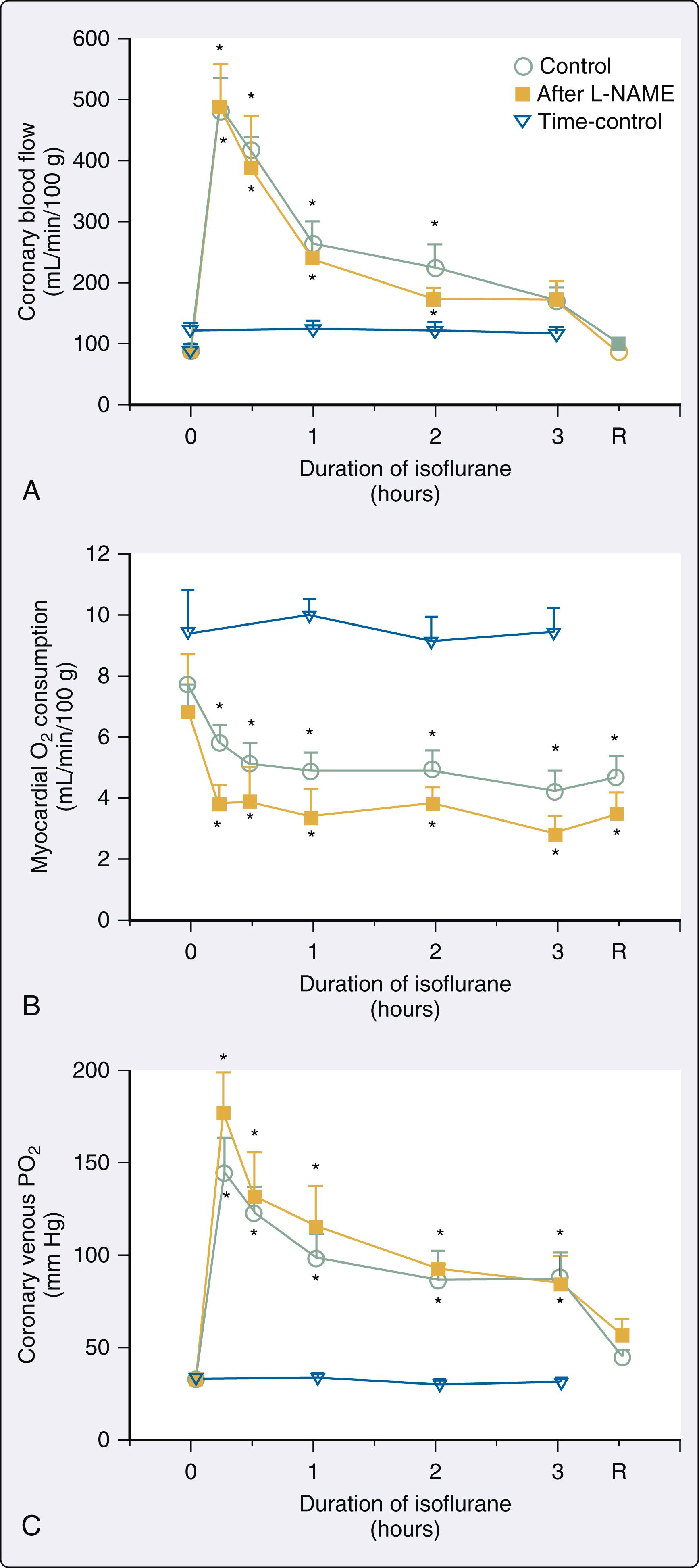 Figure 7.15, (A) Coronary blood flow, (B) myocardial oxygen consumption, and (C) coronary venous PO 2 during a 3-hour intracoronary administration of isoflurane in the absence (control group) and presence of nitric oxide synthase inhibitor N G -nitro-L-arginine methylester (L-NAME). Findings for time-control studies are provided for reference. Values are mean ± standard error of the mean. Isoflurane caused significant (∗ P < .05) changes in coronary blood flow, myocardial oxygen consumption, and coronary venous PO 2 that were not affected by pretreatment with L-NAME.