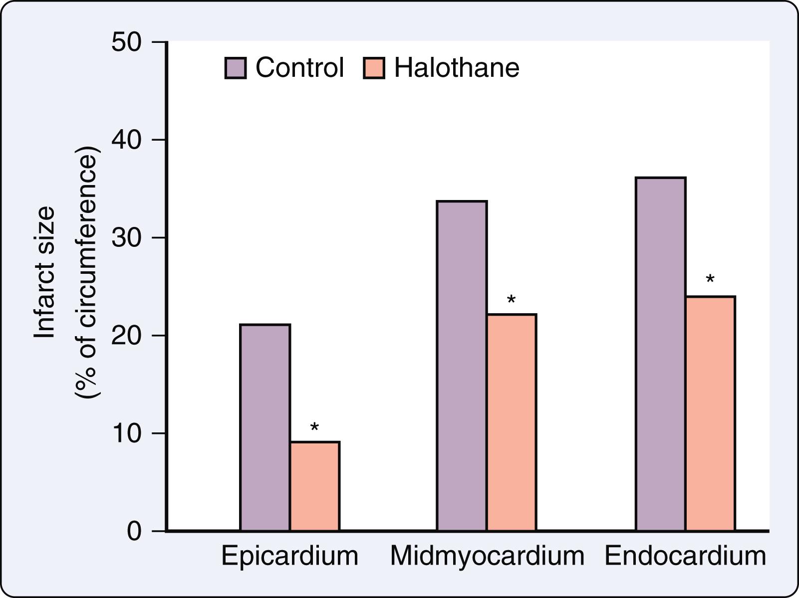 Figure 7.19, Histograms illustrating myocardial infarct size in dogs in the absence (control; purple ) and presence (pink bars) of halothane treatment. Data are expressed as a percentage of the circumference occupied by infarction in the epicardium, midmyocardium, and subendocardium. ∗Significantly ( P < .02) different from control.