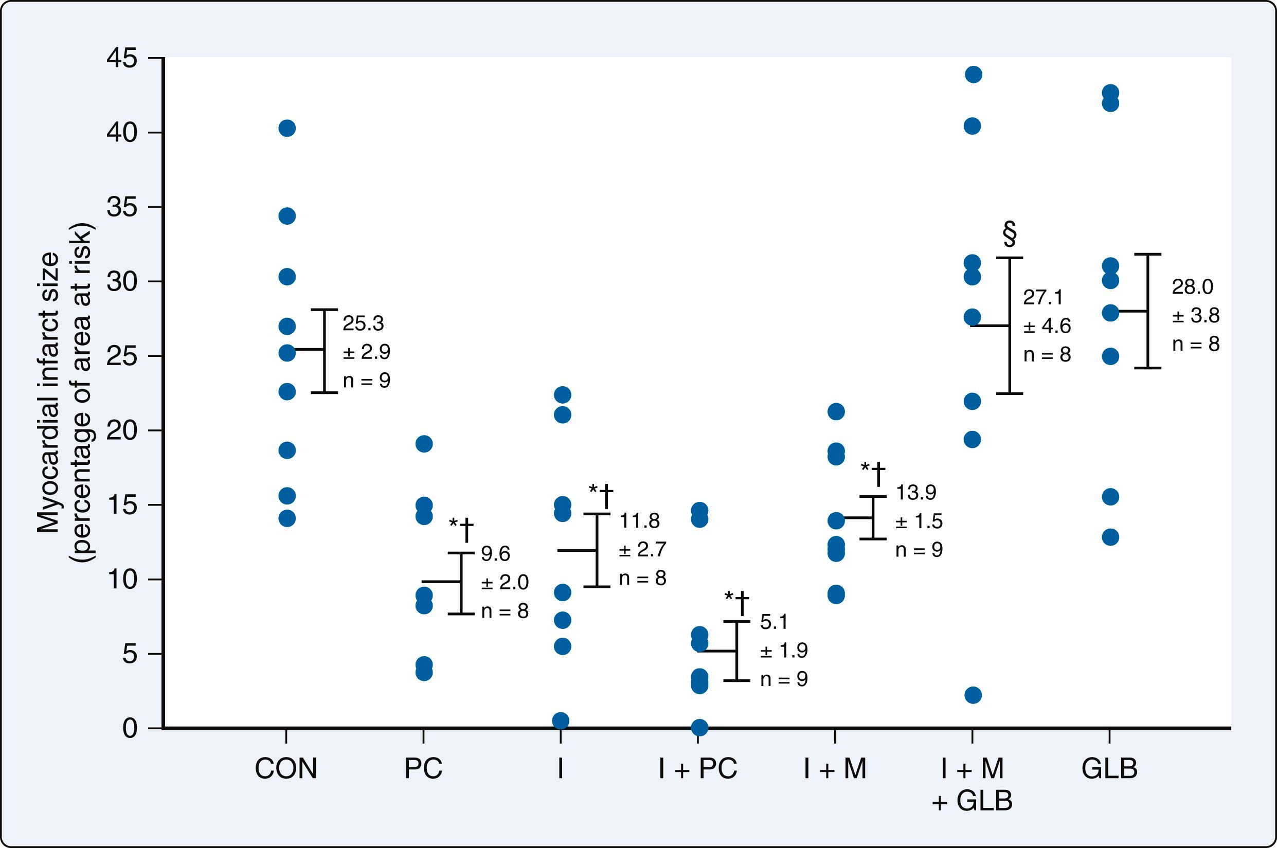 Figure 7.21, Myocardial infarct size (expressed as a percentage of the LV area-at-risk) after ischemia reperfusion in canine hearts under the following conditions: CON, control; PC, ischemic preconditioning; I, administration of isoflurane until 5 minutes before LAD occlusion; I + PC, administration of isoflurane before and during ischemic preconditioning; I + M, discontinuation of isoflurane 30 minutes (memory period) before LAD occlusion; I + M + GLB, pretreatment with glyburide followed by discontinuation of isoflurane 30 minutes (memory period) before LAD occlusion; and GLB, pretreatment with glyburide. Closed circles represent individual dogs and horizontal lines with error bars represent mean ± standard error of the mean. ∗Significantly ( P < .05) different from CON; †Significantly ( P < .05) different from GLB; §Significantly ( P < .05) different from I + M.