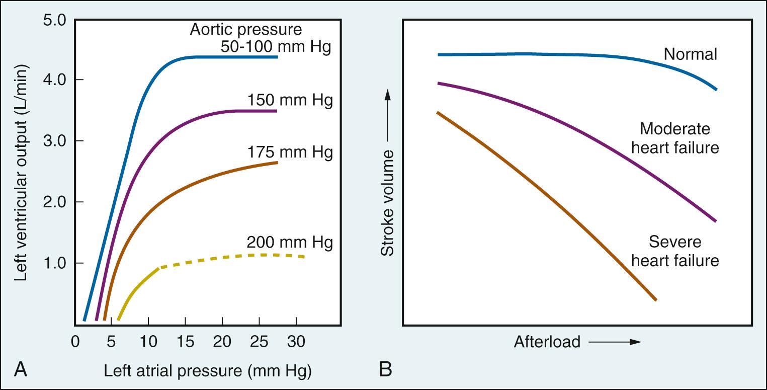 Fig. 24.5, A, Left ventricular output as a function of left atrial pressure, plotted at several aortic pressures (afterloads). Note that an increase in aortic pressure reduces left ventricular output at each filling pressure. B, Effect of increased afterload on stroke volume in normal and compromised hearts.