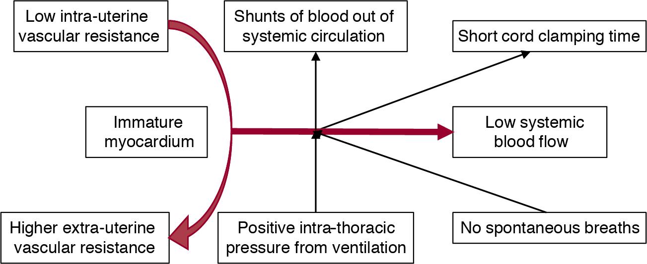 Fig. 20.1, Suggested model of how the various external and internal influences on the cardiovascular system of the VLBW infant can result in low systemic blood flow.