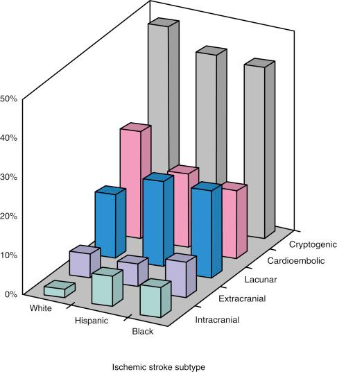Fig. 46.1, Proportion of ischemic stroke subtypes according to race in the Northern Manhattan Study.
