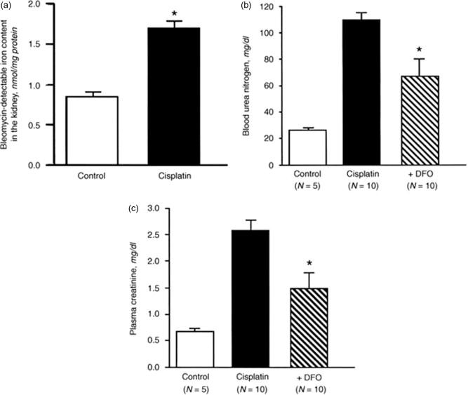 Figure 89.4, Cisplatin-induced acute kidney injury. Catalytic iron in the kidney (a) and the effect of the iron chelator deferoxamine (DFO) as measured by blood urea nitrogen (b) and plasma creatinine (c).