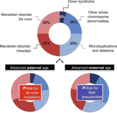 Fig. 1, Considering that about 20 pregnancies in 1000 are affected by a genetic disability, the distribution of the nature of those genetic abnormalities is illustrated here: about half concern copy number abnormalities, while the other half are single gene disorders. The frequencies of these are dependent on parental age.