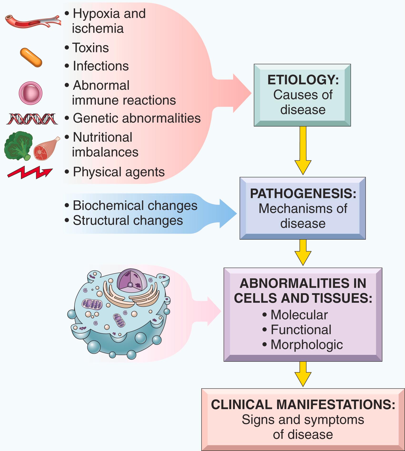 FIG. 1.1, Steps in the development of disease. Only some of the major etiologies are shown.