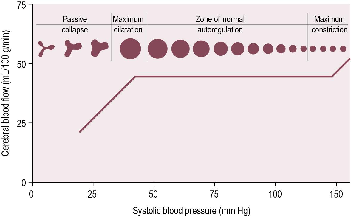 Fig. 3.5, Autoregulation of cerebral blood flow over a range of arterial blood pressures, and corresponding changes in blood vessel diameter. Blood vessel radius is inversely related to the fourth root of vascular resistance by Poiseuille’s equation.