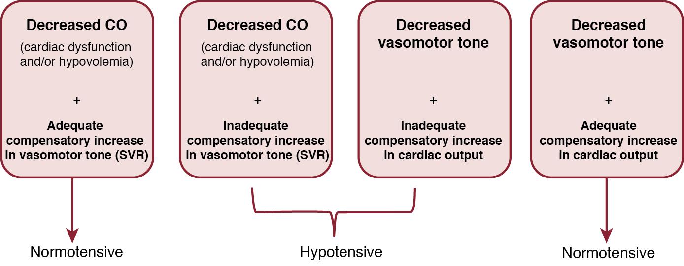 Fig. 2.1, Pathophysiology of neonatal cardiovascular compromise in primary myocardial dysfunction and primary abnormal vascular tone regulation with or without compensation by the unaffected other variable. This figure illustrates why blood pressure can be considered “normal” when there is appropriate compensatory increase in either vasomotor tone or Cardiac output. In the hypotensive scenarios, there is inadequate compensatory increase in these variables. CO , cardiac output.