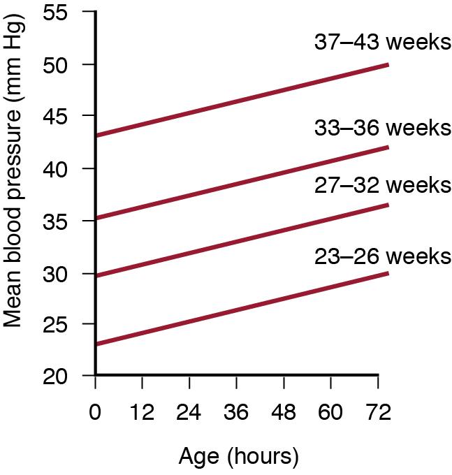 Fig. 2.2, Gestational age– and postnatal age–dependent nomogram for mean blood pressure values in preterm and term neonates during the first three postnatal days. The nomogram is derived from continuous arterial blood pressure measurements obtained from 103 neonates with gestational ages between 23 and 43 weeks. As each line represents the lower limit of 80% confidence interval of mean blood pressure for each gestational age group, 90% of infants for each gestational age group will have a mean blood pressure equal or greater than the value indicated by the corresponding line (the lower limit of confidence interval).