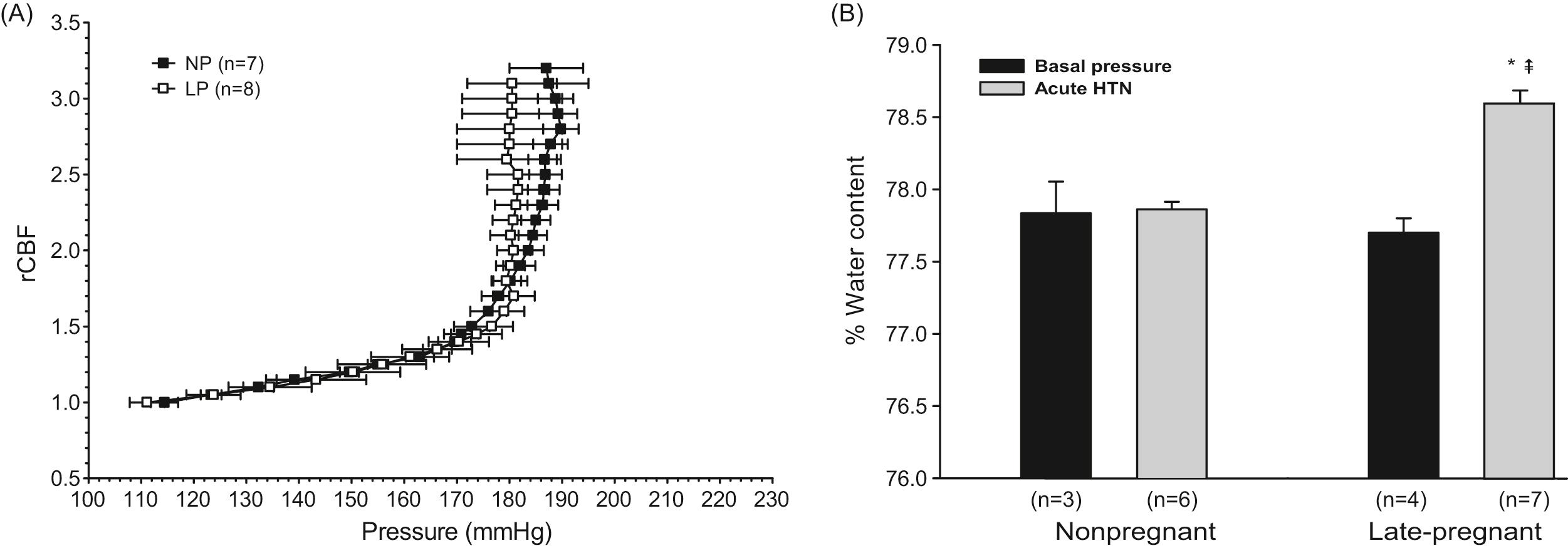 Figure 13.9, (A) Graph of cerebral blood flow autoregulatory curves in anesthetized nonpregnant (NP, closed squares) and late-pregnant (LP, open squares) rats. The curves were determined using laser Doppler to measure relative changes in cerebral blood flow during constant infusion of phenylephrine to raise mean arterial pressure. Notice there is no difference in autoregulation or the pressure at which breakthrough occurred. (B) Graph showing percent water content as a measure of cerebral edema formation in the same groups of animals as shown in (A). In nonpregnant animals, water content was similar at basal pressure ( black bars ) and after autoregulatory breakthrough ( gray bars ). In late-pregnant animals, however, acute hypertension that caused autoregulatory breakthrough caused a significant increase in water content (∗ p < .05 vs. basal; ‡ p < .05 vs. NP). Thus, under these conditions, pregnancy alone predisposes the brain to edema formation.