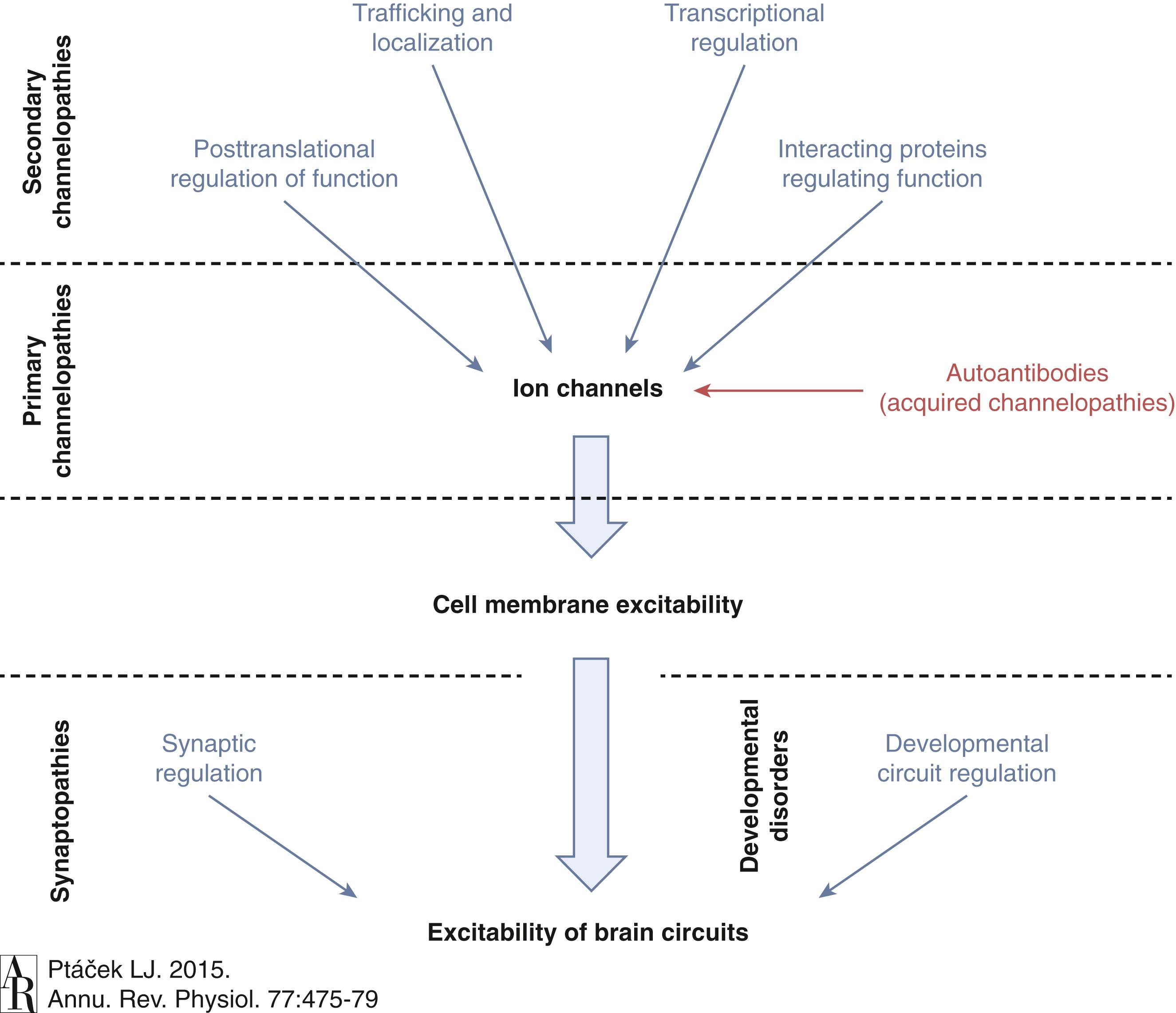 Fig. 98.2, Proposed Classification Scheme for Electrical and Episodic Disorders.