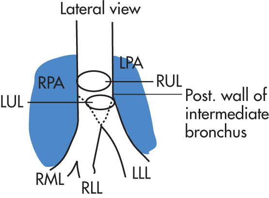 FIG. 1.9