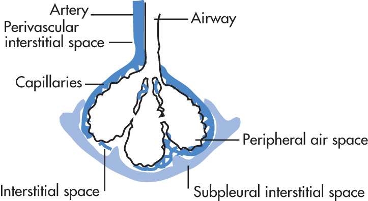 FIG. 1.10