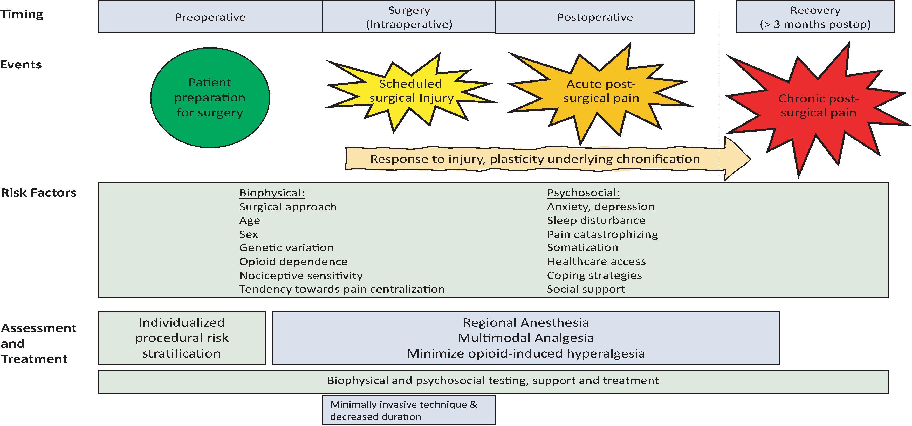 Figure 24.3The comprehensive risk factors in the biopsychosocial model for developing chronic post-surgical pain. Chen Y-YK, Boden KA, Schreiber KL. The role of regional anaesthesia and multimodal analgesia in the prevention of chronic post-surgical pain: a narrative review. Anaesthesia . 2021;76(1):8–17. 45