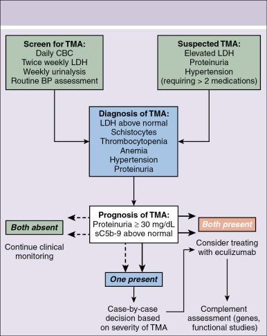 Fig. 15.3, Algorithm for the evaluation of thrombotic microangiopathy (TMA) after hematopoietic stem cell transplantation (HSCT). Screening for TMA includes monitoring lactate dehydrogenase (LDH), complete blood count (CBC), and routine urinalyses. TMA should be suspected in HSCT recipients with an acute elevation of LDH, proteinuria greater than 30 mg/dL, and hypertension more severe than expected with calcineurin or steroid therapy, usually requiring more than 2 antihypertensive medications. Clinical interventions should be considered for patients with both proteinuria > 30 mg/dL and elevated sC5b-9. BP , Blood pressure.